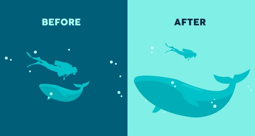 The Power of Visual Hierarchy in Design