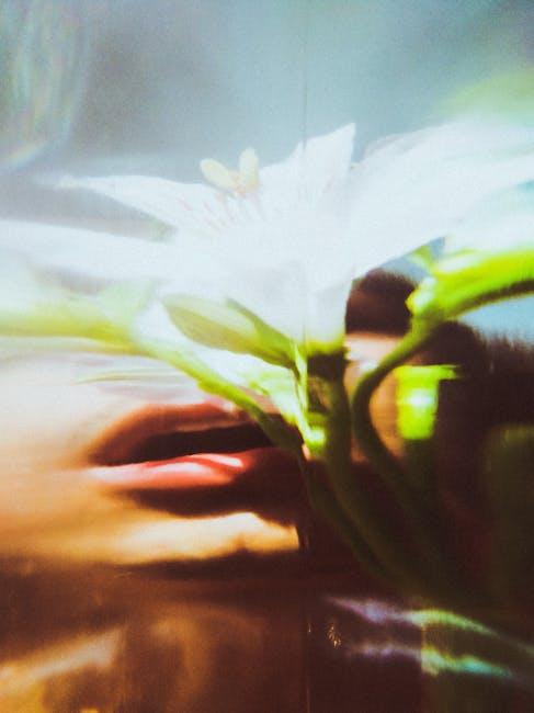Designing for Emotion Advanced Principles in Human Centered Design